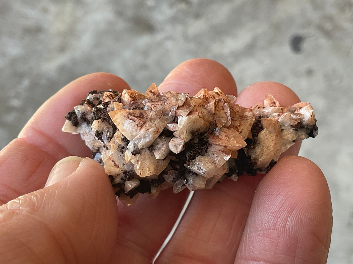 30g Diamond Calcite on Black Siderite with Red Hematite