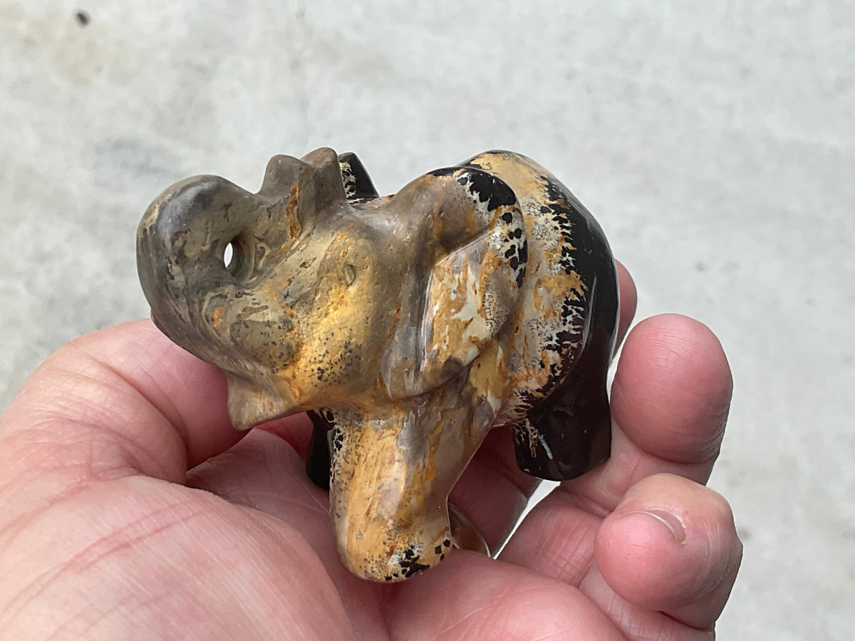154g Picture/Desert Jasper Elephant A