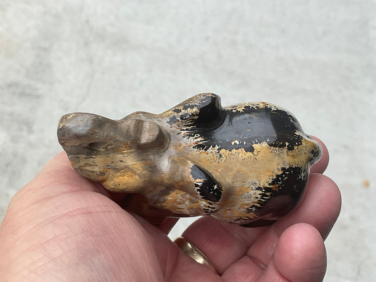 154g Picture/Desert Jasper Elephant A