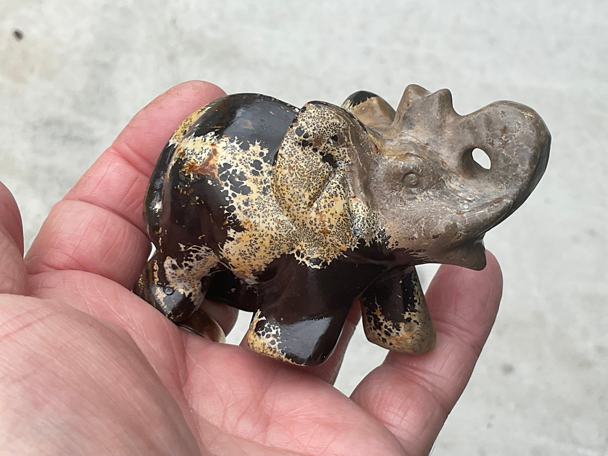 154g Picture/Desert Jasper Elephant A