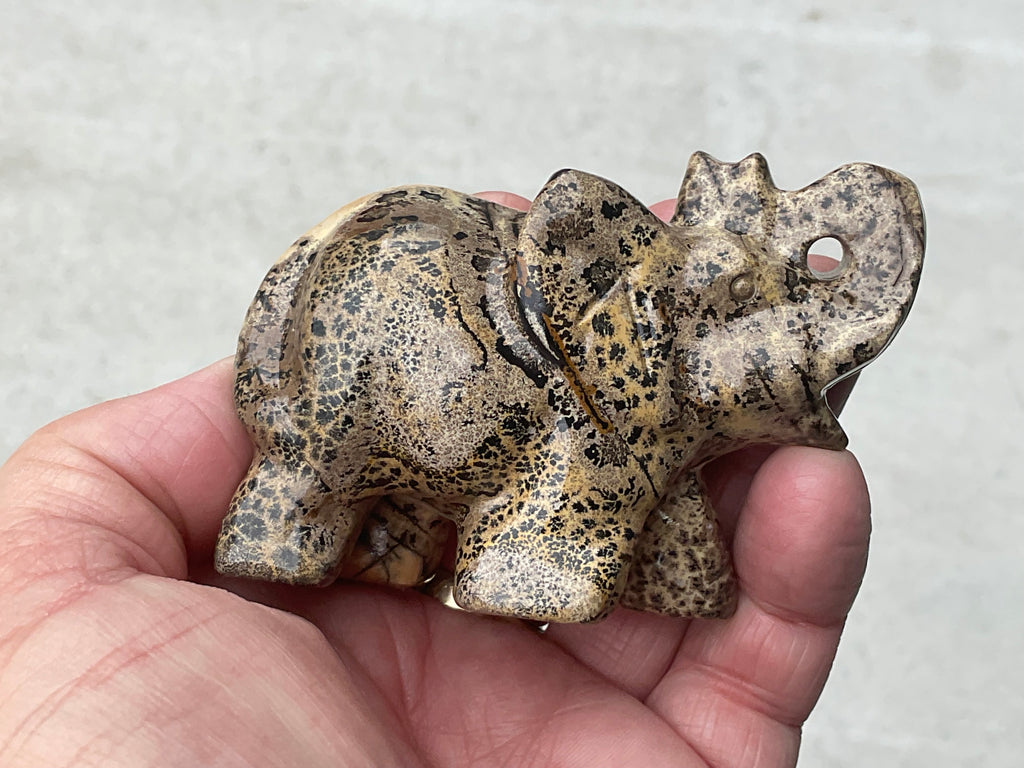 180g Picture/Desert Jasper Elephant B