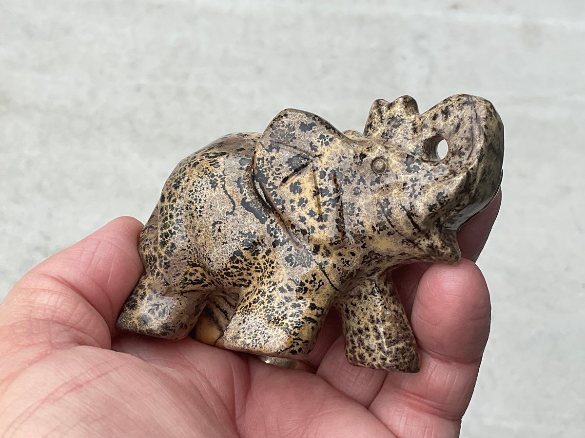 180g Picture/Desert Jasper Elephant B