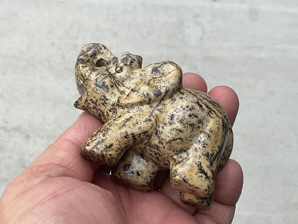 180g Picture/Desert Jasper Elephant B