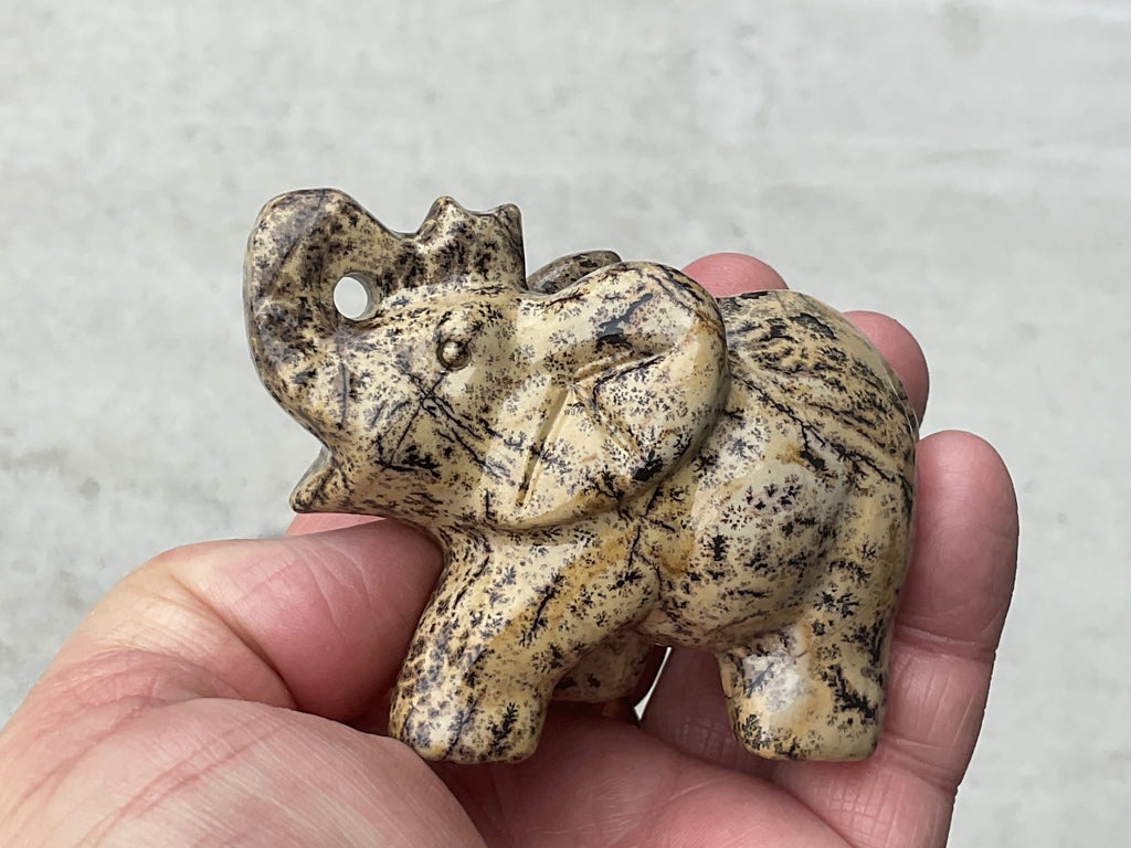 180g Picture/Desert Jasper Elephant B