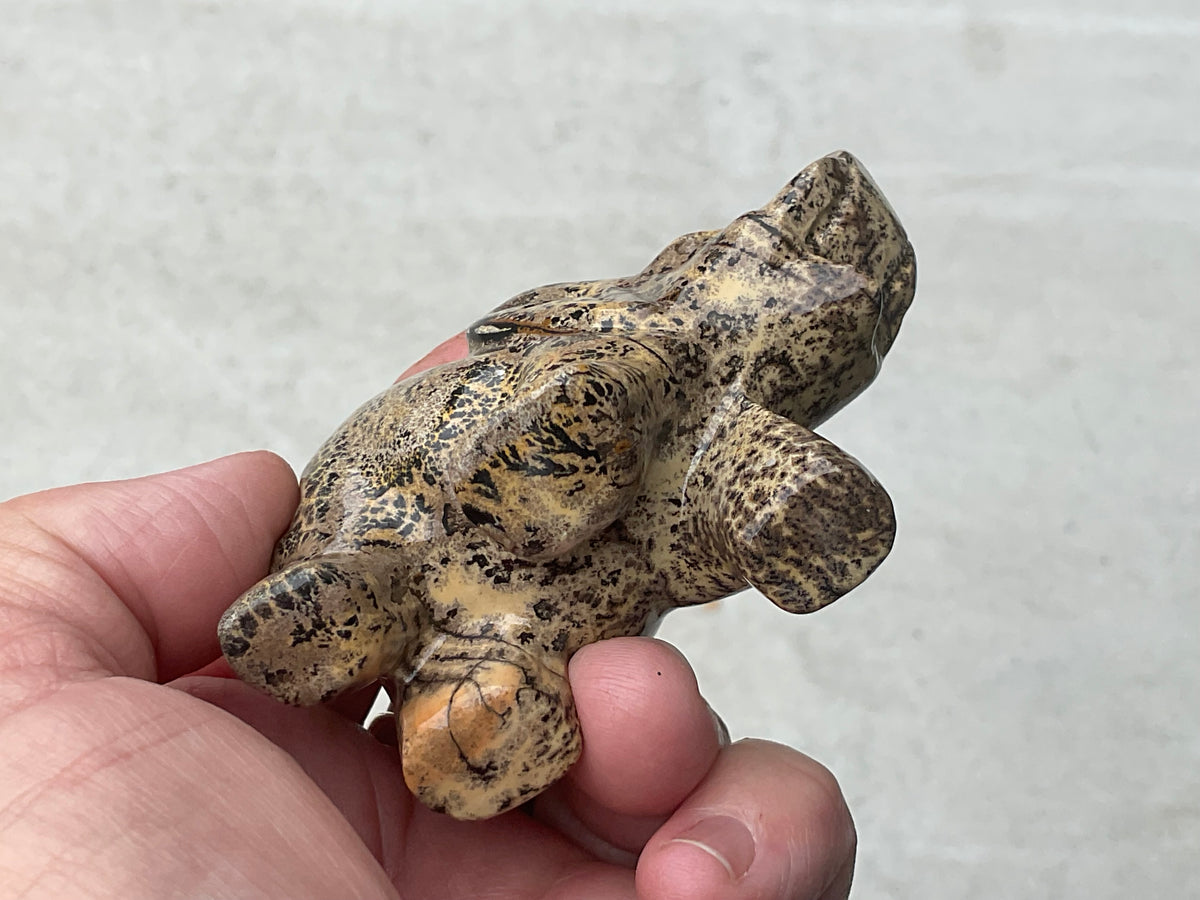 180g Picture/Desert Jasper Elephant B