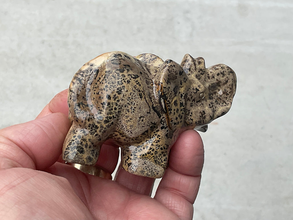 180g Picture/Desert Jasper Elephant B