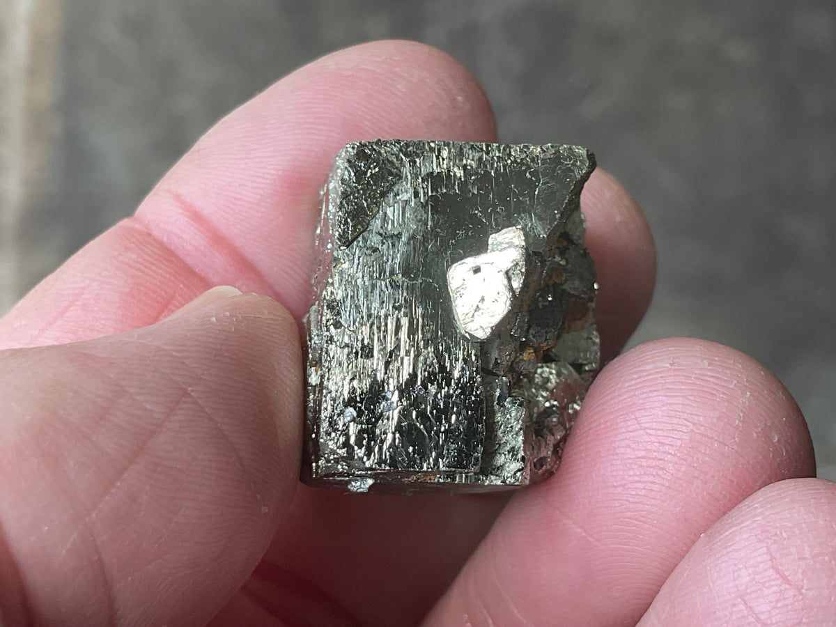 26g Renison Bell Pyrite Specimen 1A