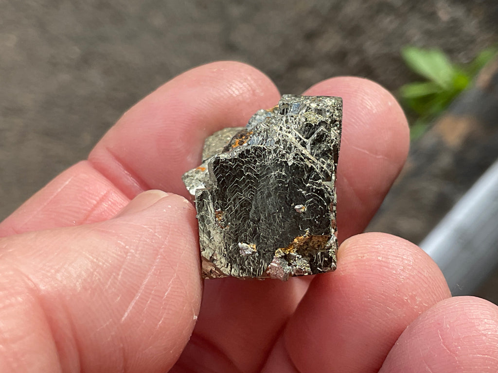 26g Renison Bell Pyrite Specimen 1A