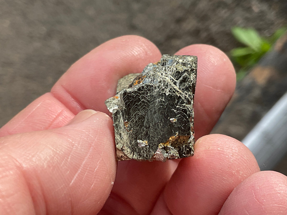 26g Renison Bell Pyrite Specimen 1A