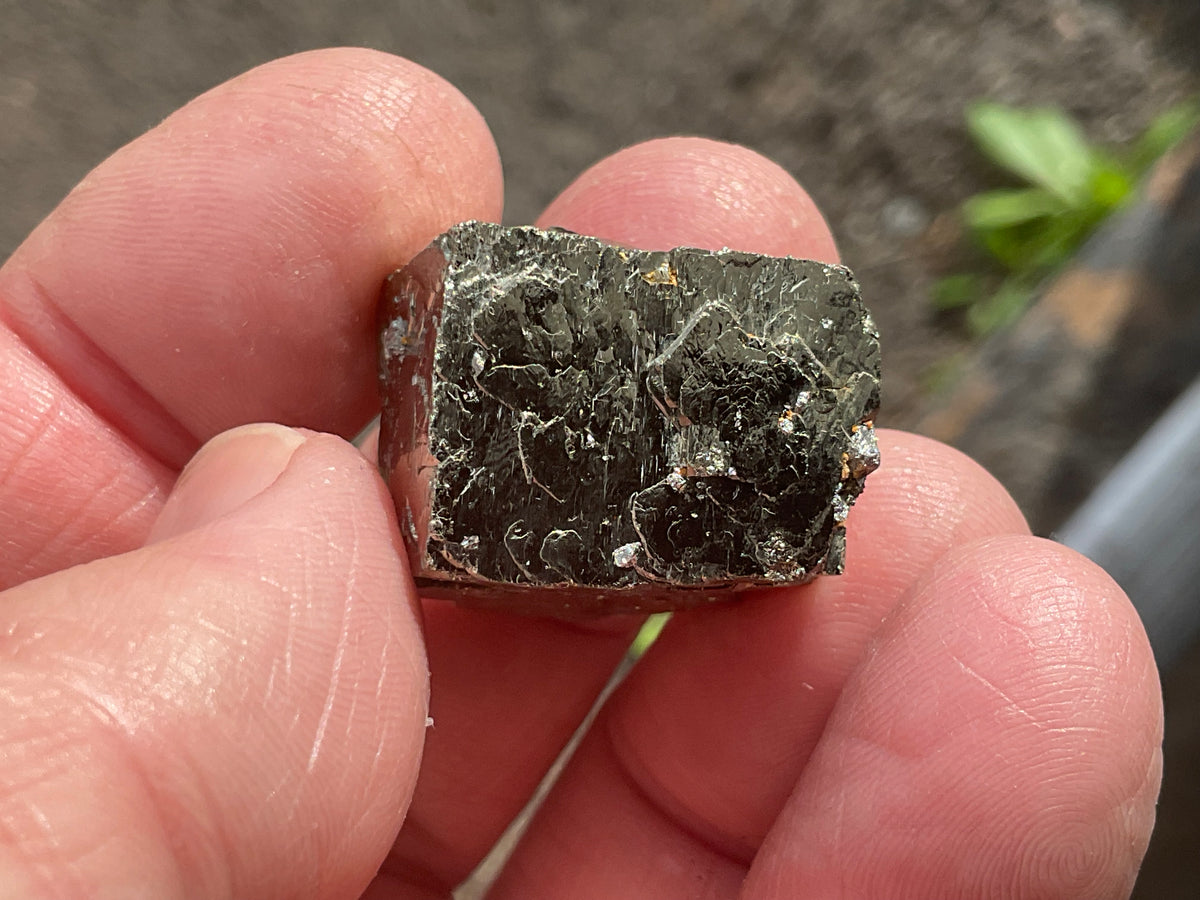 26g Renison Bell Pyrite Specimen 1A