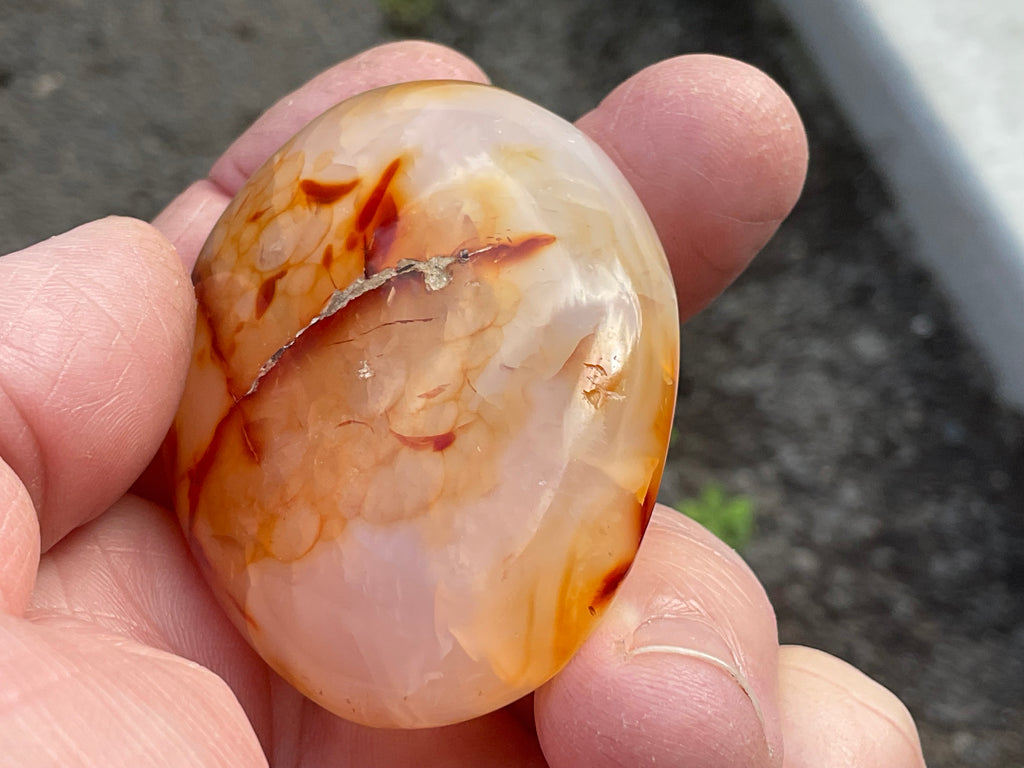 84g Carnelian Palmstone 5A