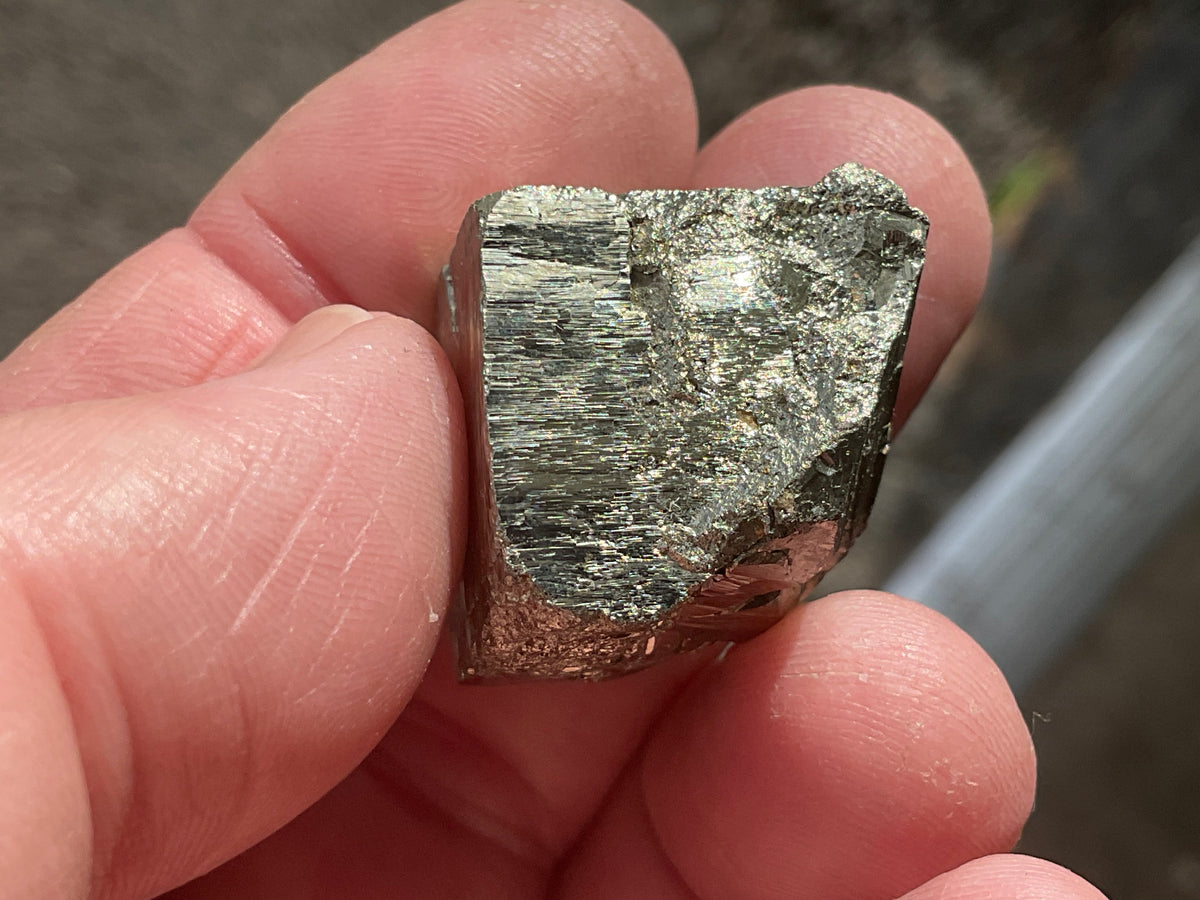34g Renison Bell Pyrite Specimen 1B