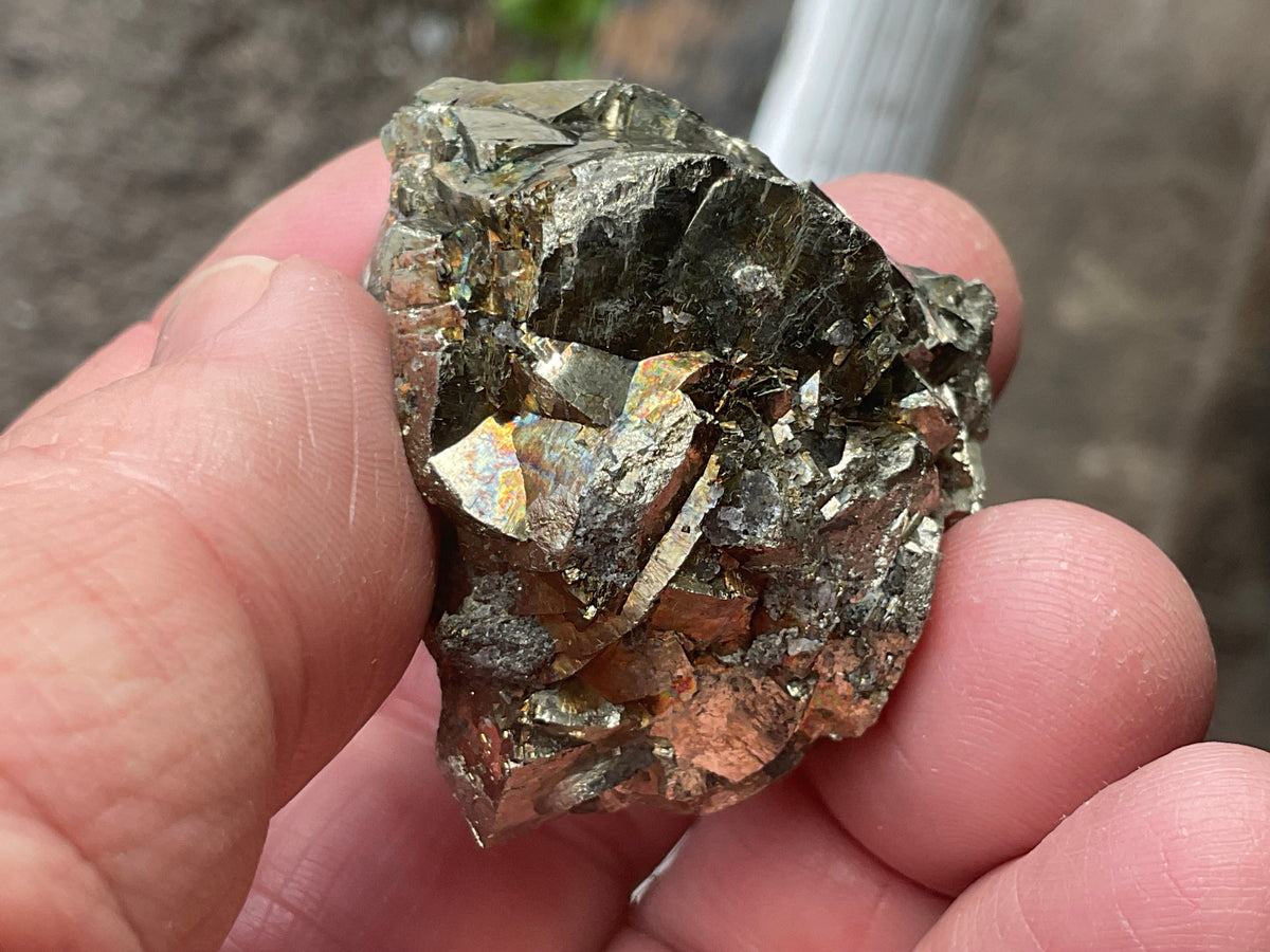 98g Renison Bell Pyrite Specimen 2B