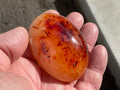 107g Carnelian Palmstone 8A