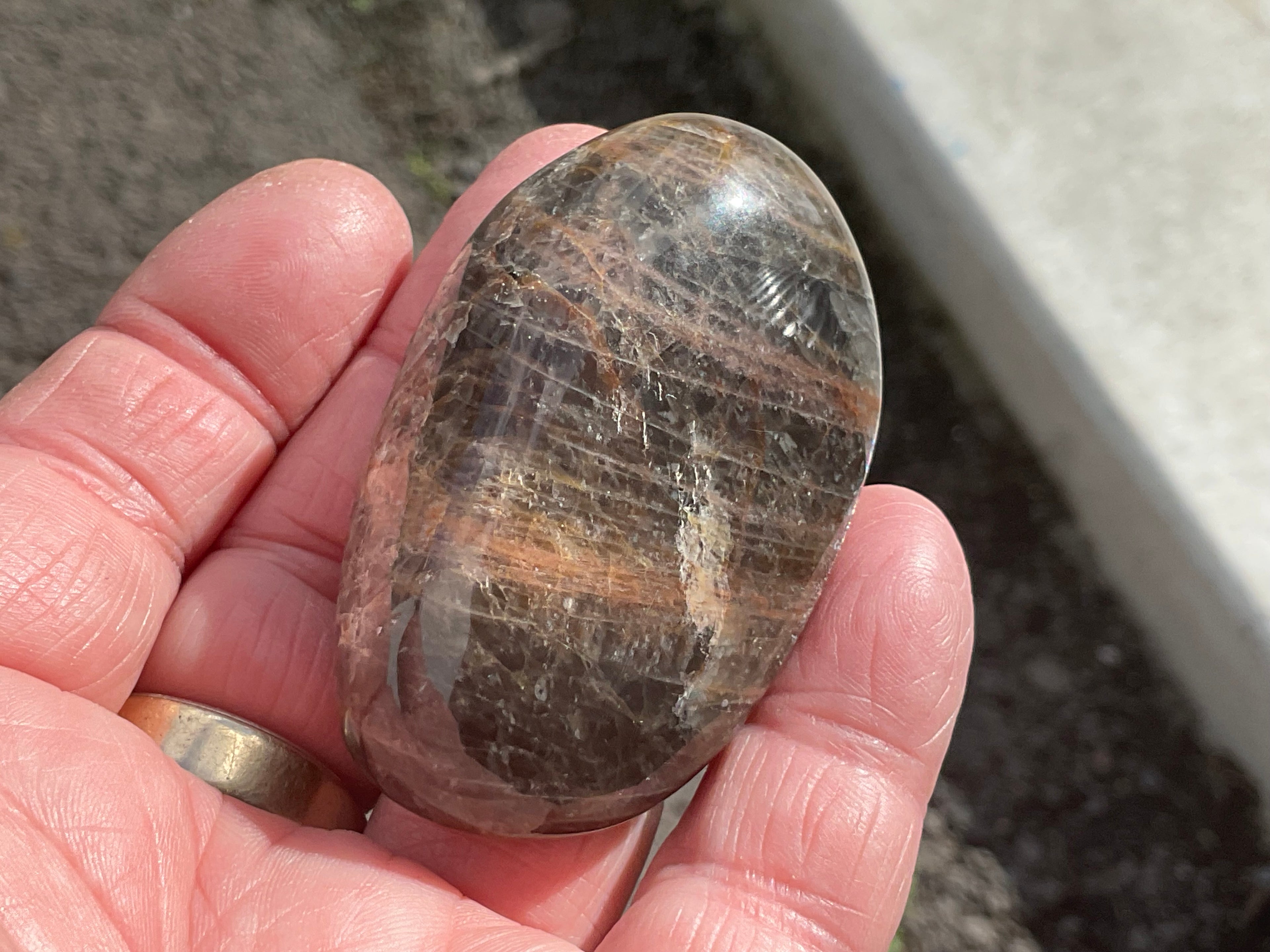 68g Black Moonstone Palmstone 4B
