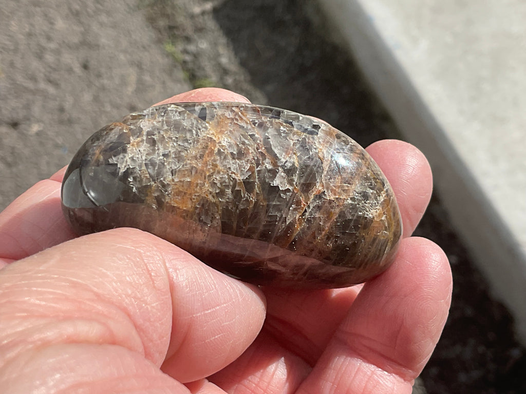 68g Black Moonstone Palmstone 4B