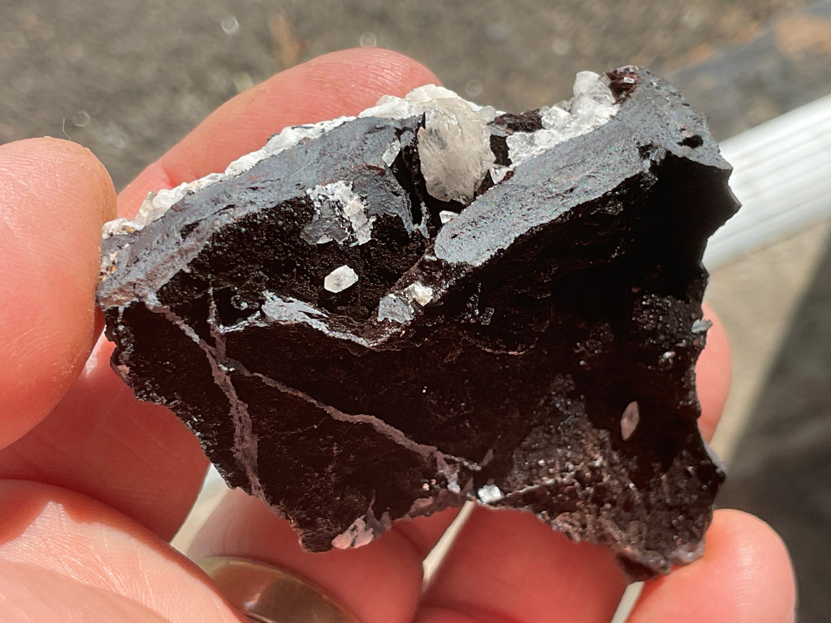 94g Diamond Calcite on Black Siderite with Hematite Specimen 7A