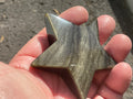 71g Gold Sheen Obsidian Star 2C