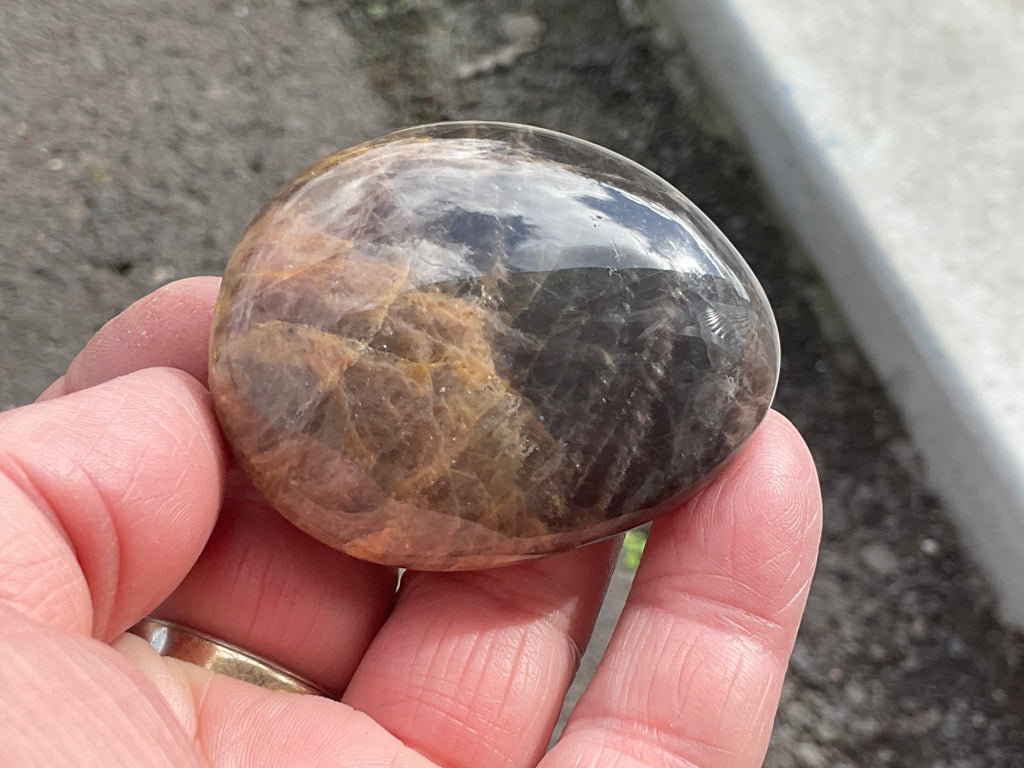 73g Black Moonstone Palmstone 4C