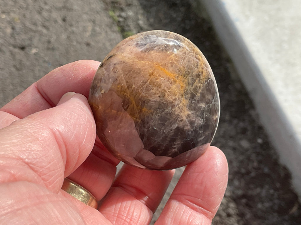 73g Black Moonstone Palmstone 4C