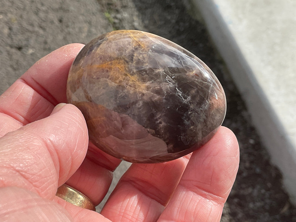 73g Black Moonstone Palmstone 4C
