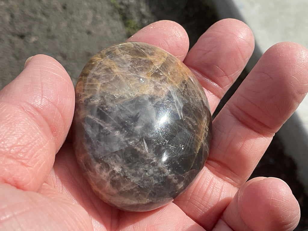73g Black Moonstone Palmstone 4C