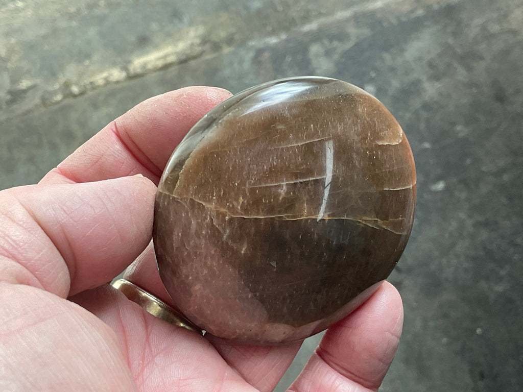 113g Black Moonstone Palmstone 1B