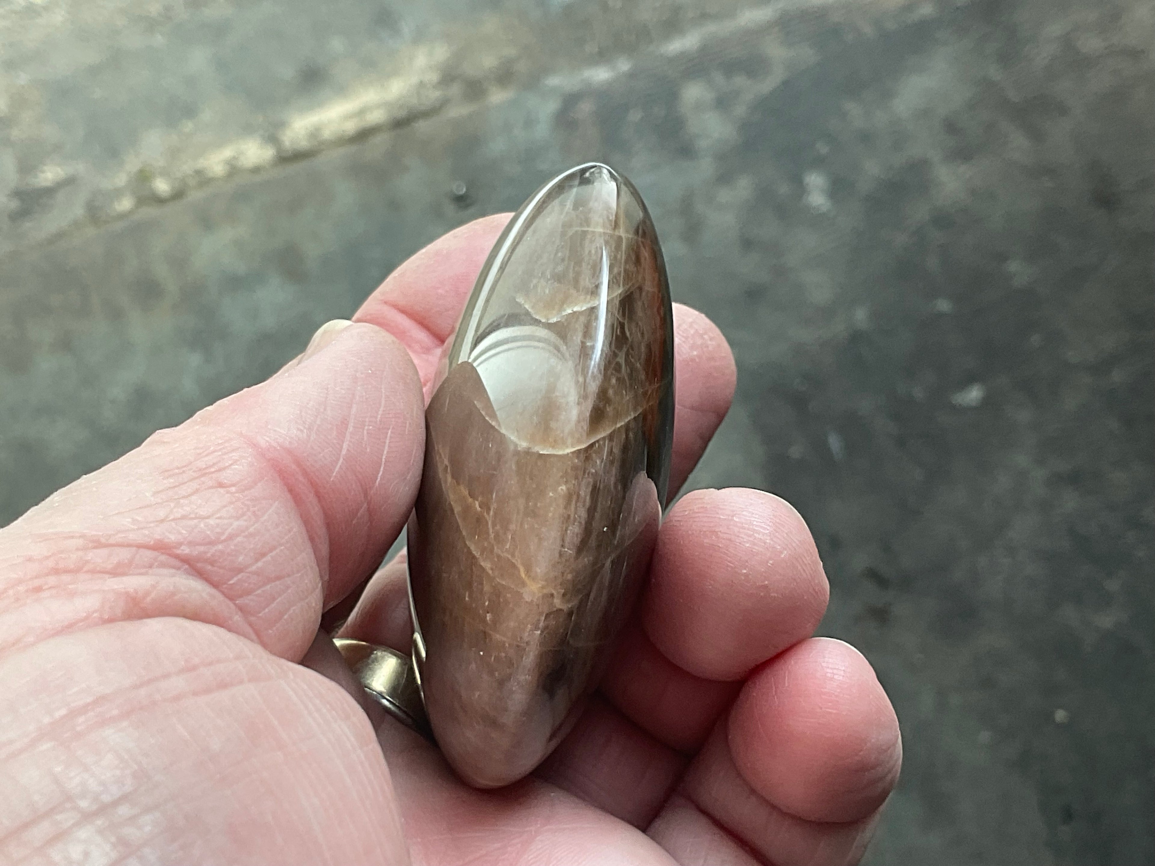 113g Black Moonstone Palmstone 1B