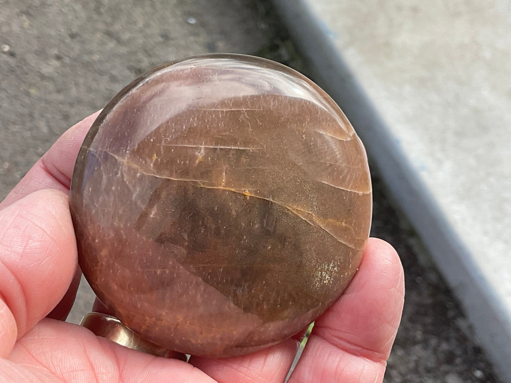 113g Black Moonstone Palmstone 1B