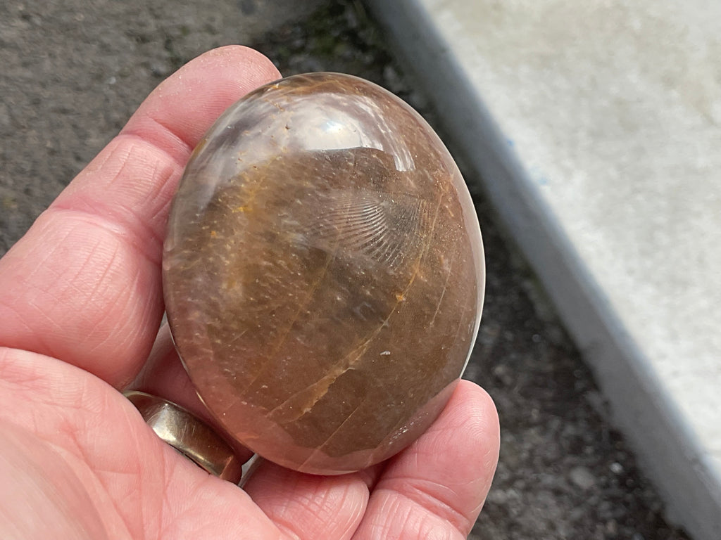 113g Black Moonstone Palmstone 1B