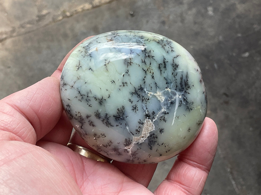 162g Dendritic Opal (Merlinite) Palmstone
