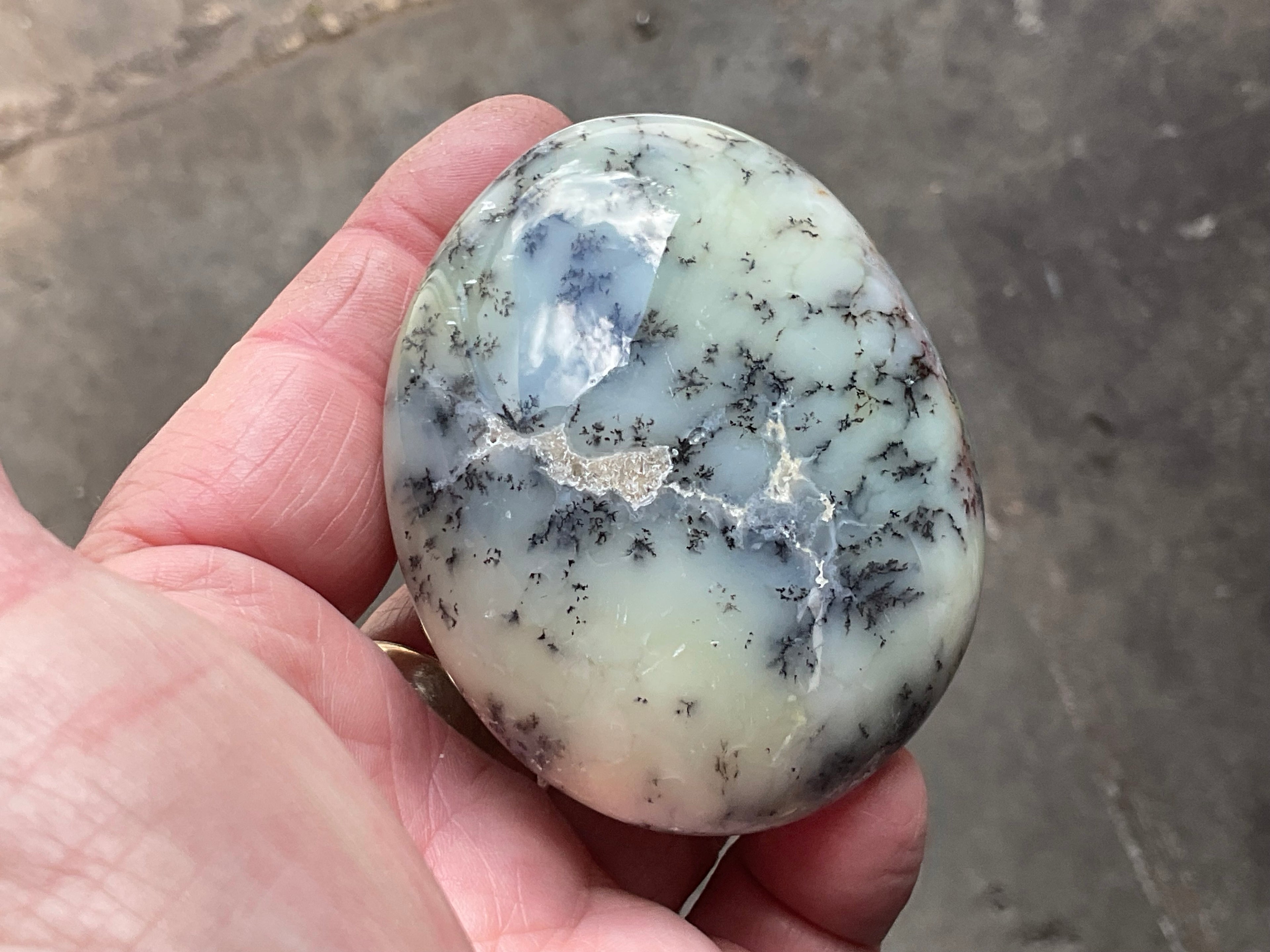 162g Dendritic Opal (Merlinite) Palmstone