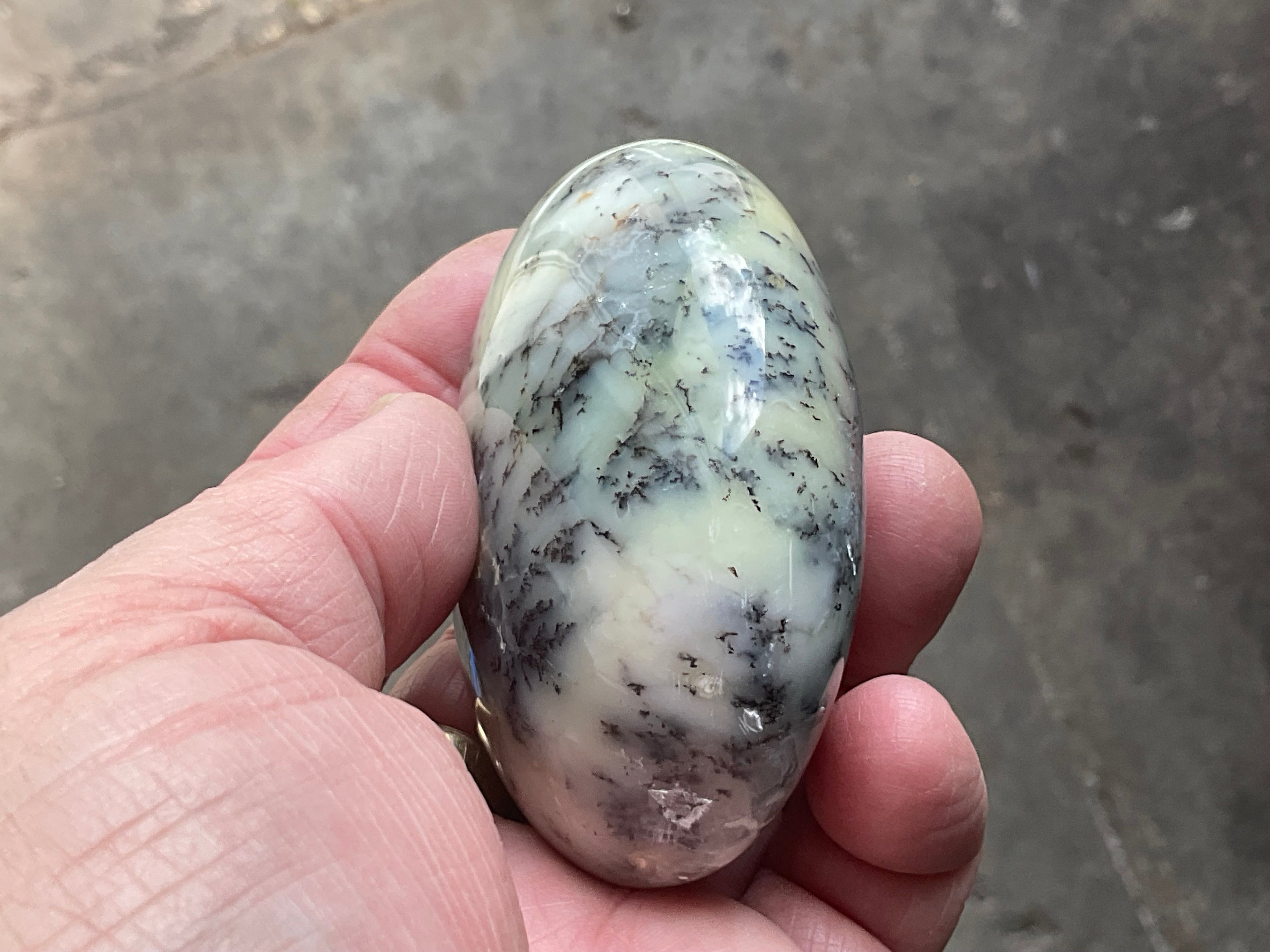 162g Dendritic Opal (Merlinite) Palmstone
