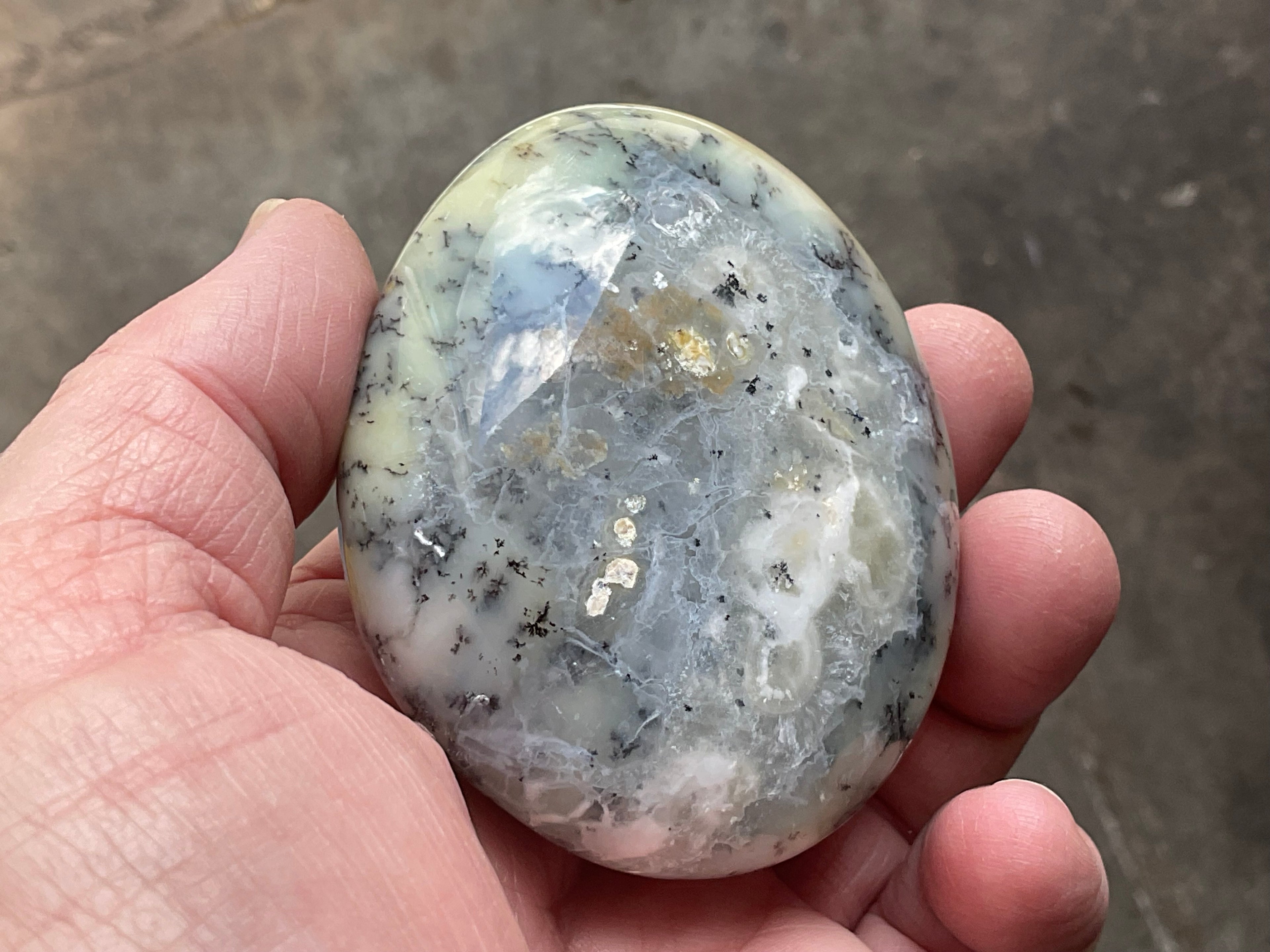 162g Dendritic Opal (Merlinite) Palmstone