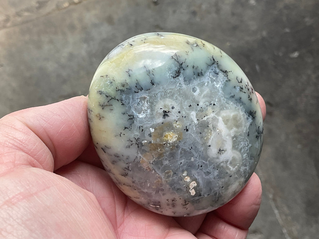 162g Dendritic Opal (Merlinite) Palmstone
