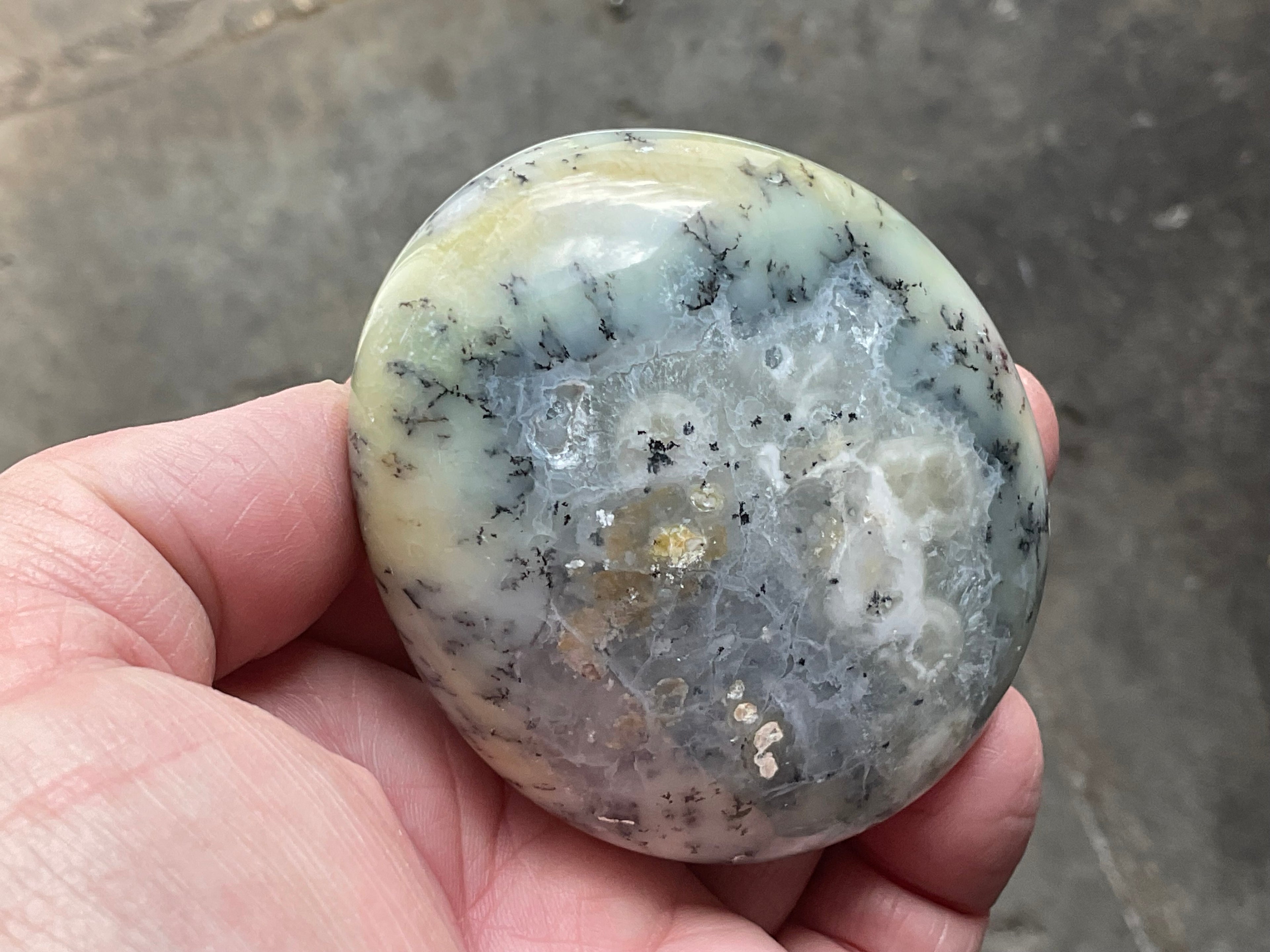 162g Dendritic Opal (Merlinite) Palmstone