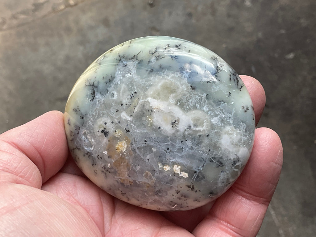 162g Dendritic Opal (Merlinite) Palmstone