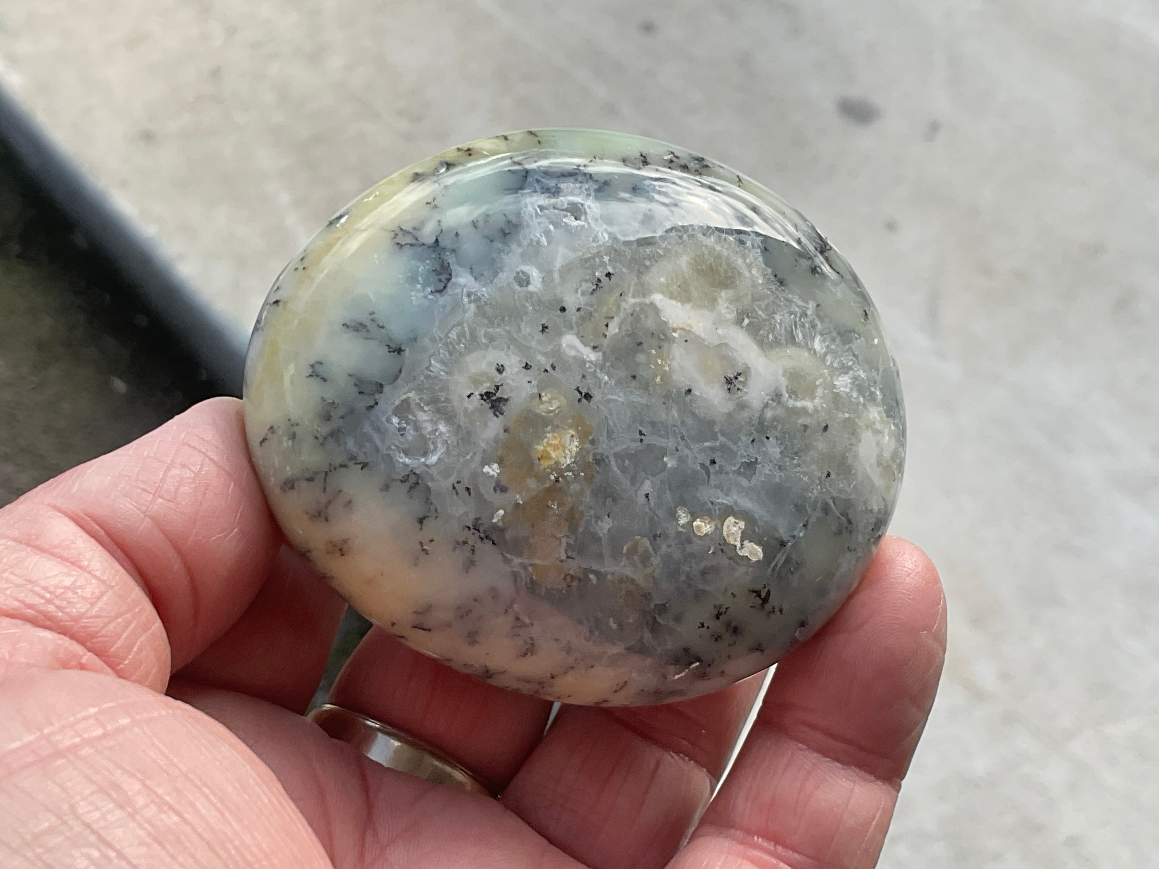 162g Dendritic Opal (Merlinite) Palmstone