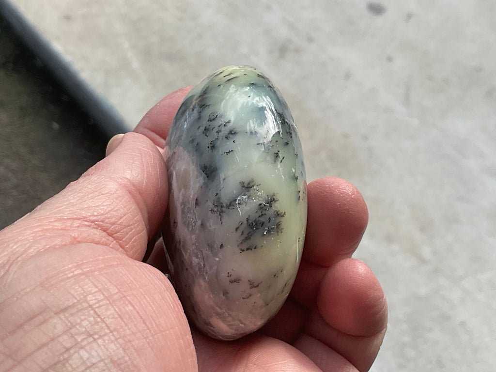 162g Dendritic Opal (Merlinite) Palmstone