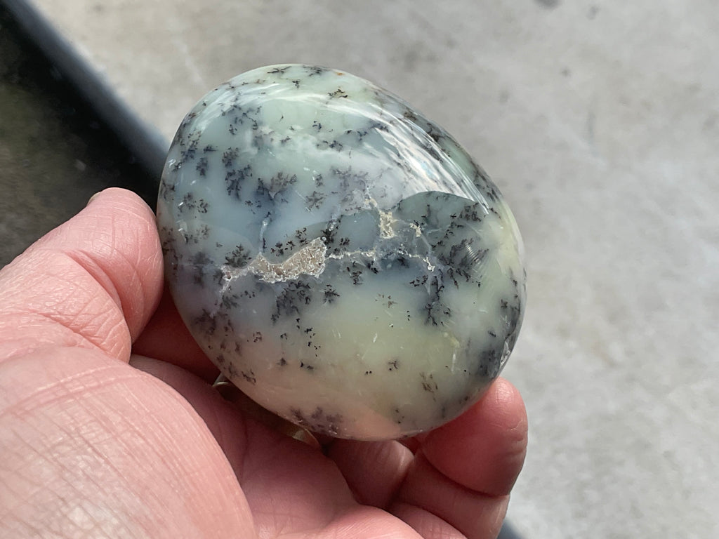 162g Dendritic Opal (Merlinite) Palmstone