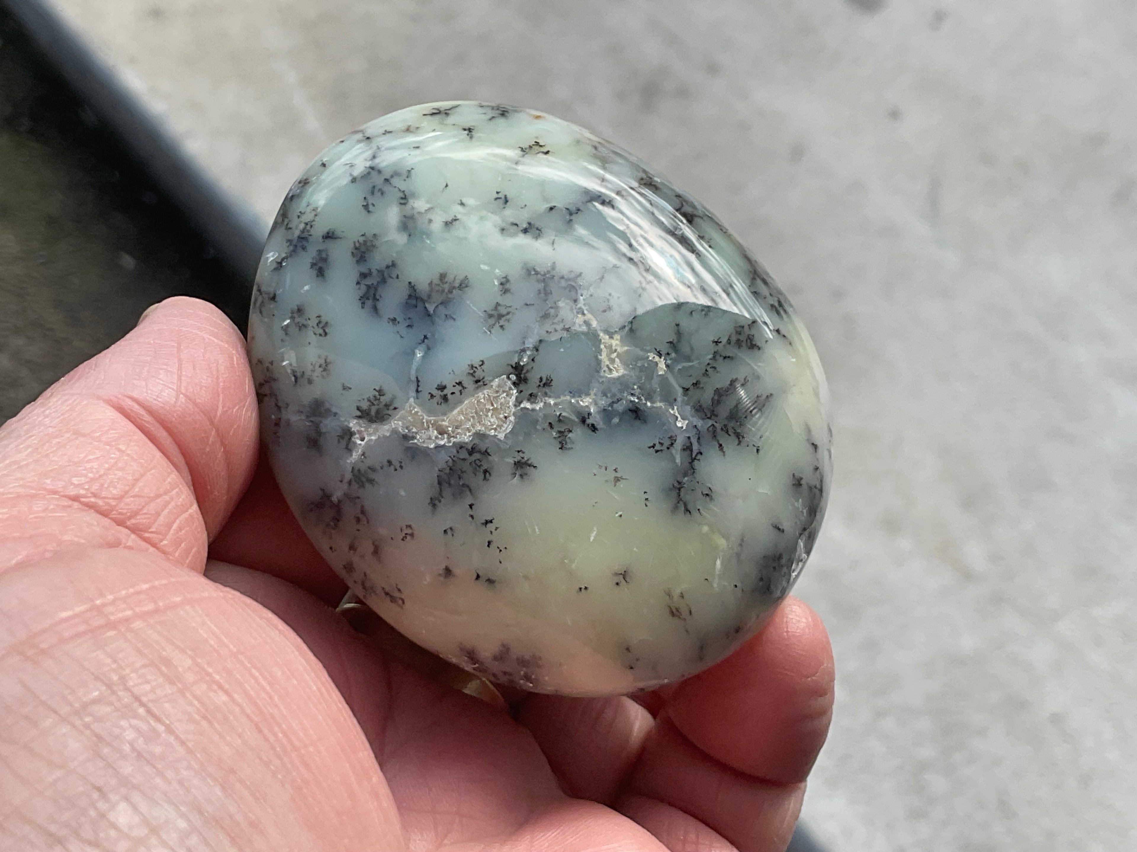 162g Dendritic Opal (Merlinite) Palmstone