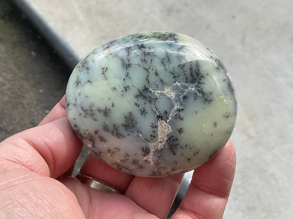 162g Dendritic Opal (Merlinite) Palmstone