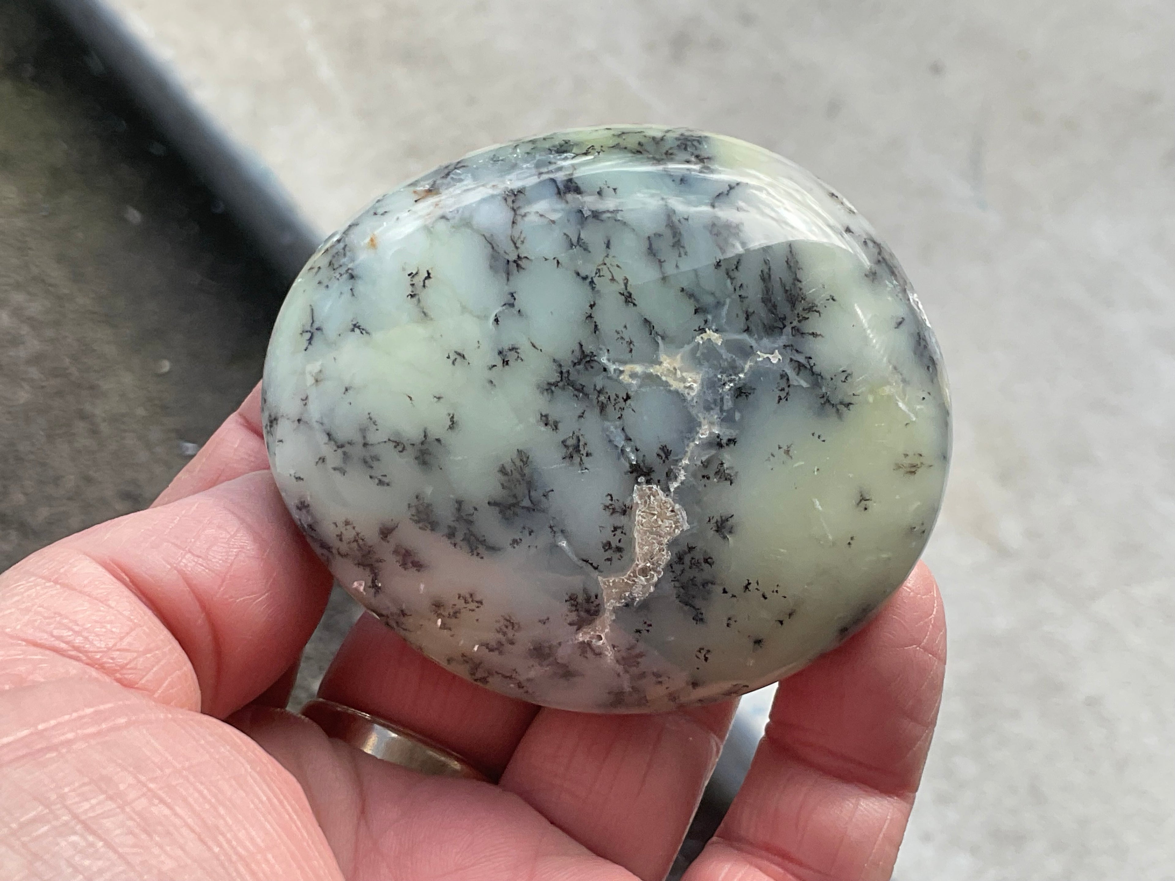 162g Dendritic Opal (Merlinite) Palmstone