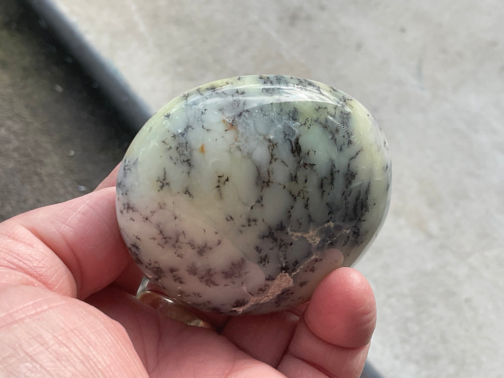 162g Dendritic Opal (Merlinite) Palmstone