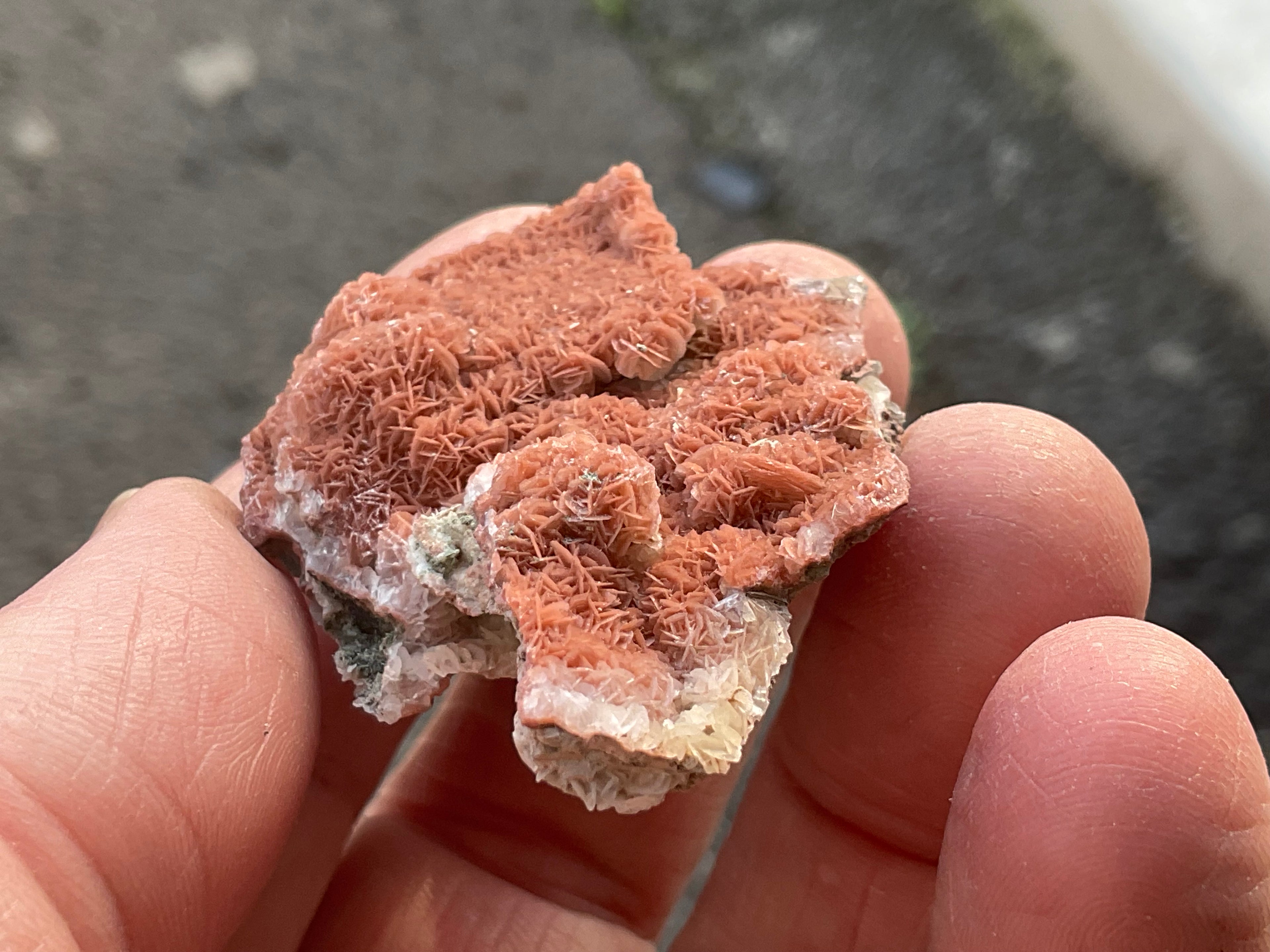 14g “Cherry Blossom” Pink Calcite Specimen B from Inner Mongolia