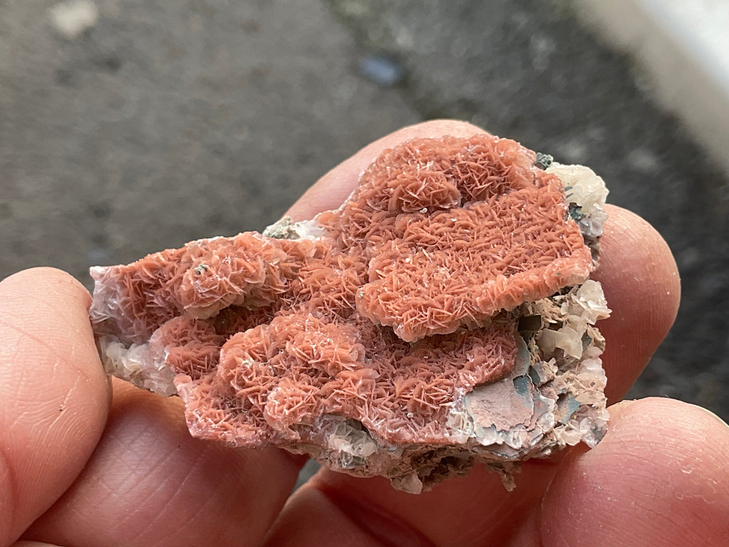 14g “Cherry Blossom” Pink Calcite Specimen B from Inner Mongolia