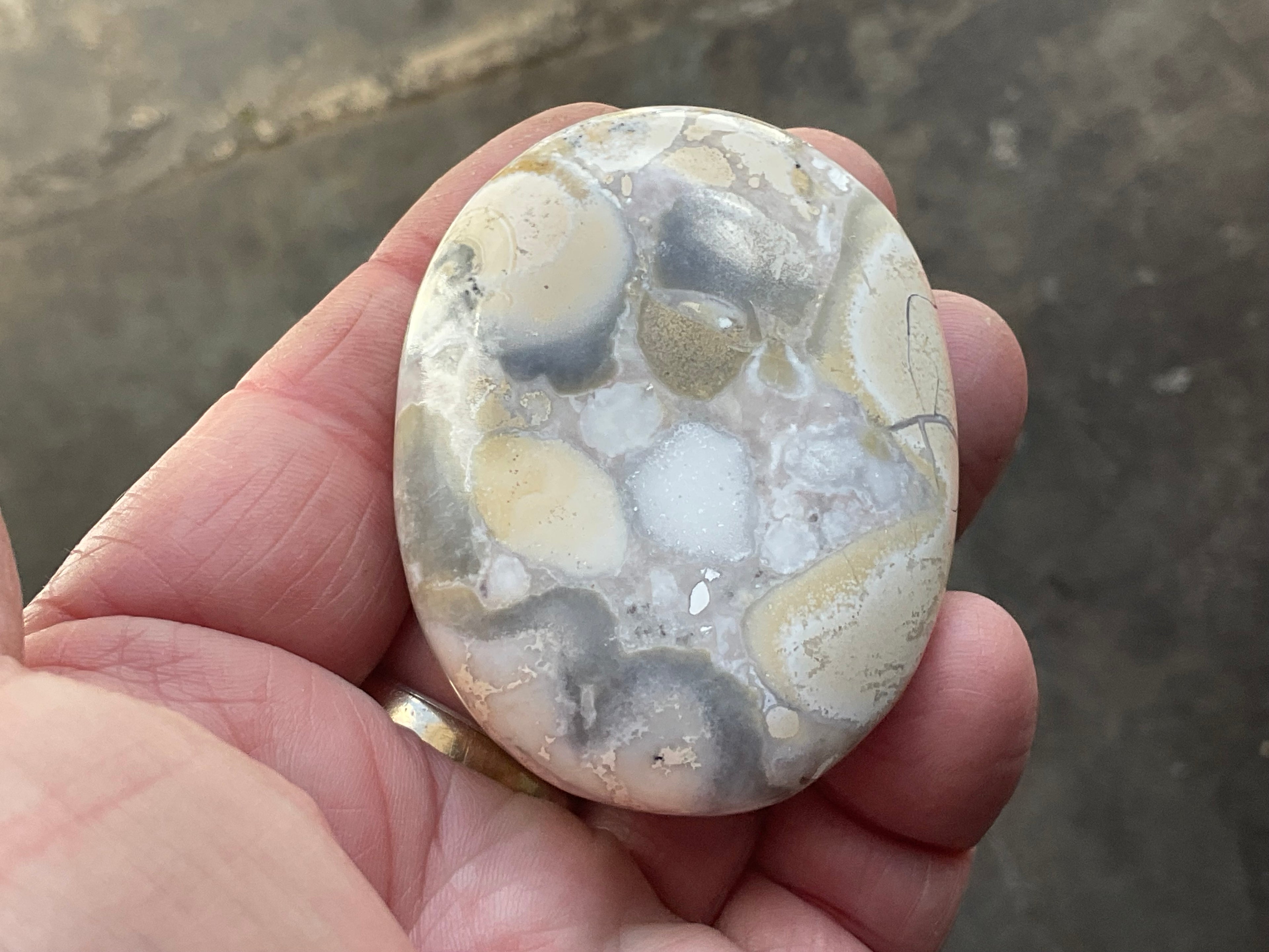 77g King Cobra Palmstone 1D