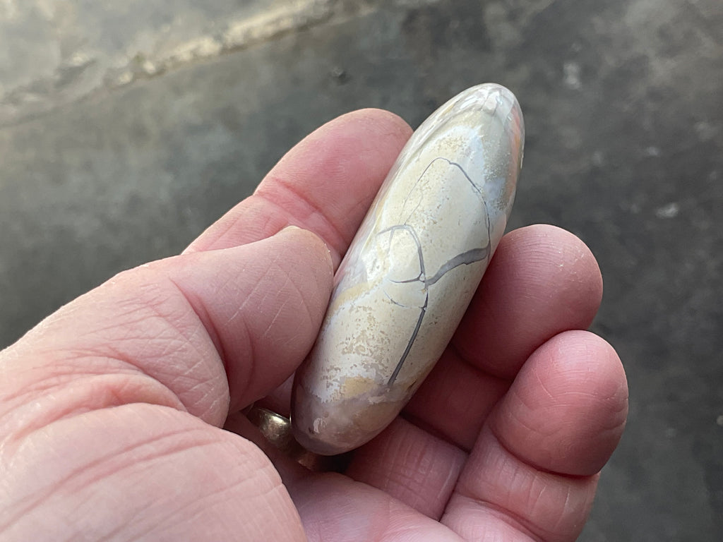 77g King Cobra Palmstone 1D
