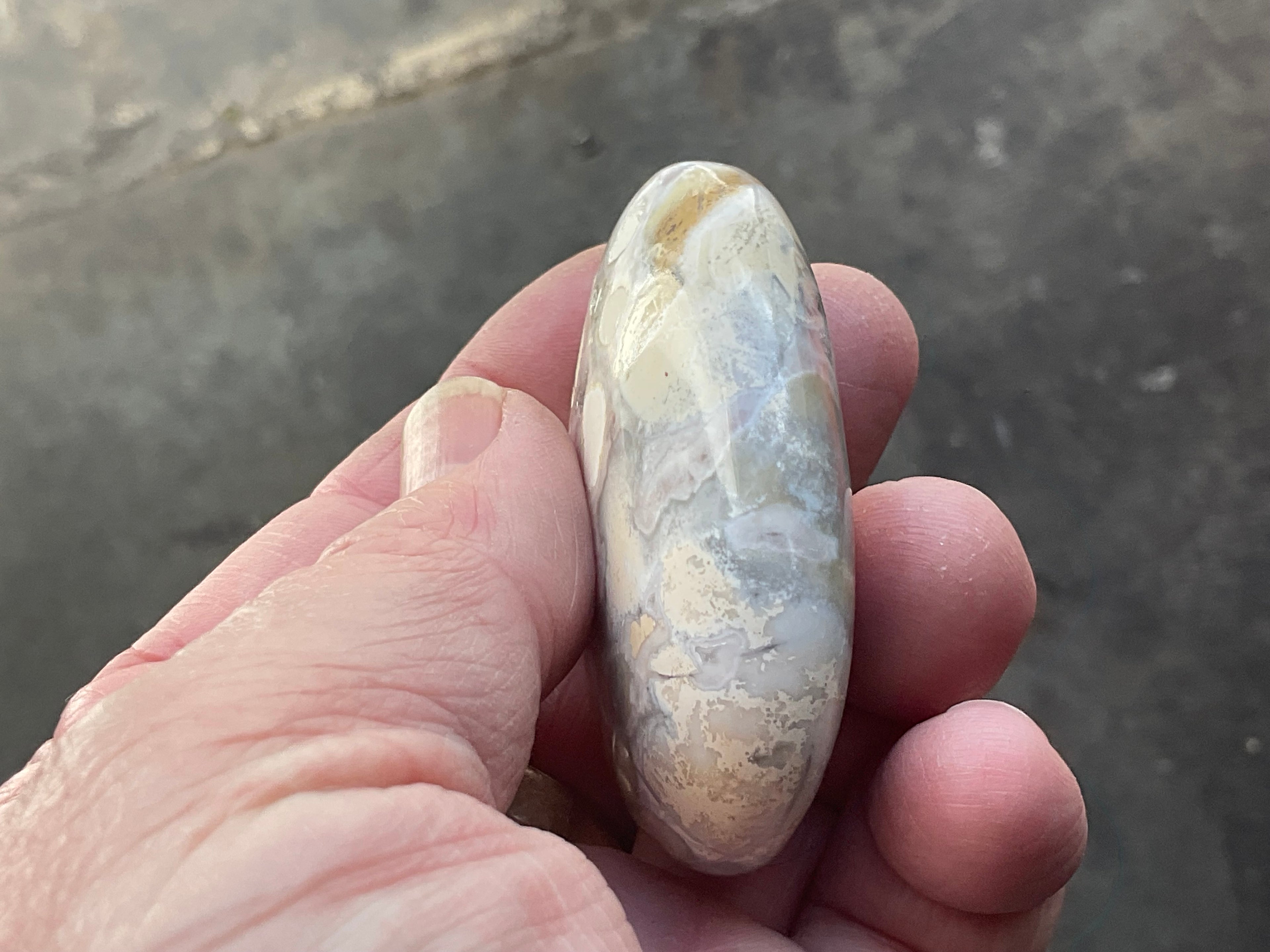 77g King Cobra Palmstone 1D