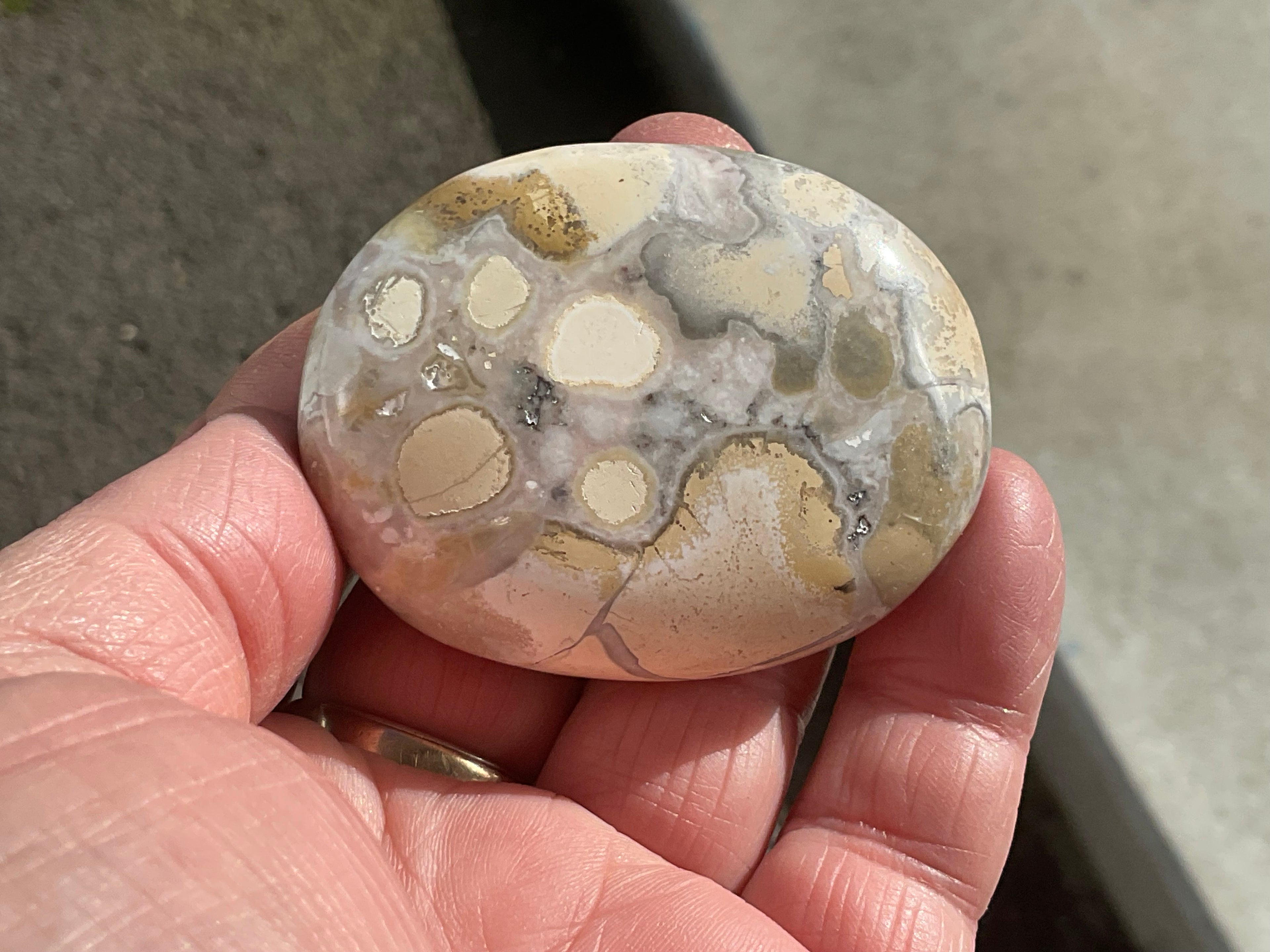 77g King Cobra Palmstone 1D